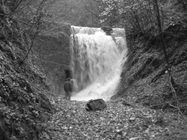  Image name: DSCF2011.JPG 
 width: 640 pixel 
 height: 480 pixel 
 Size: 101082 bytes 
 Click to enlarge 